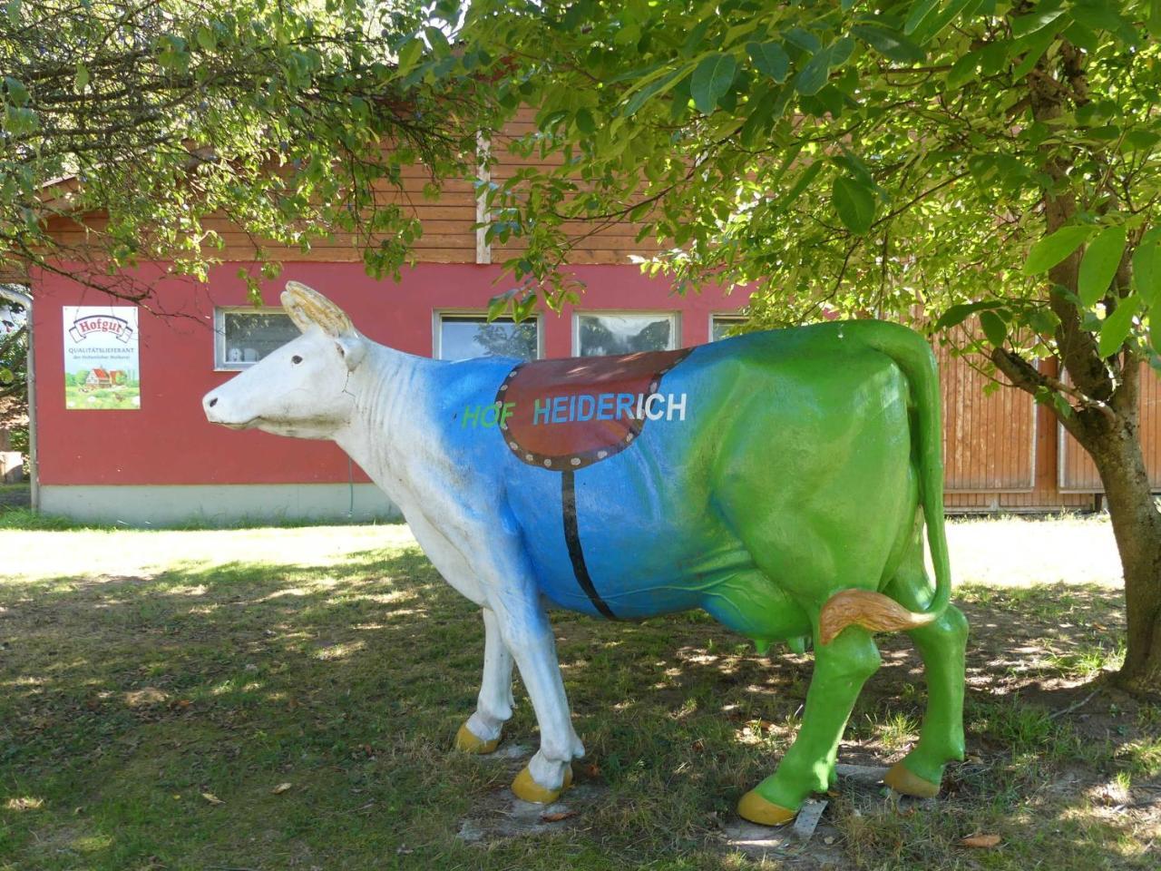 Ferienwohnungen Hof Heiderich Oberzent Esterno foto