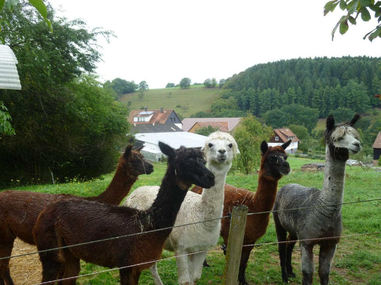 Ferienwohnungen Hof Heiderich Oberzent Esterno foto