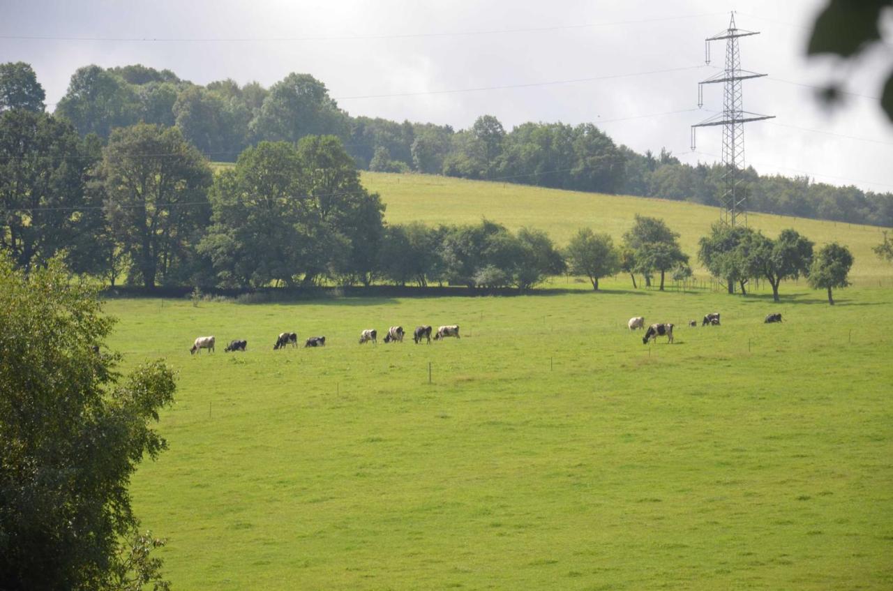 Ferienwohnungen Hof Heiderich Oberzent Esterno foto