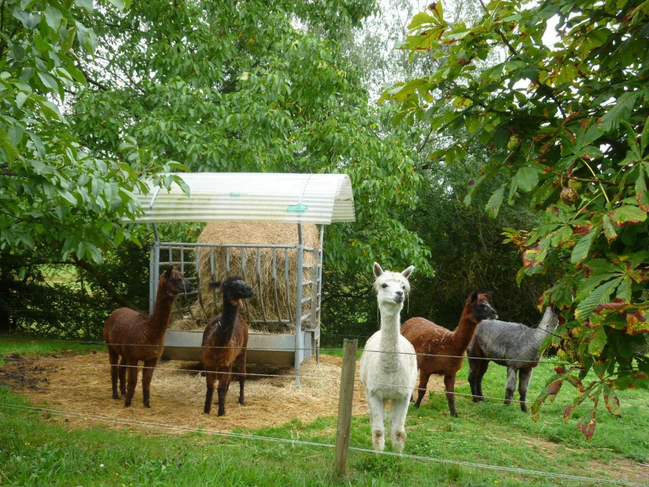 Ferienwohnungen Hof Heiderich Oberzent Esterno foto